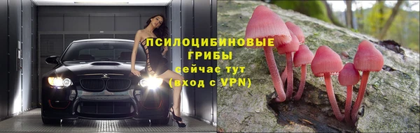 ешки Абдулино