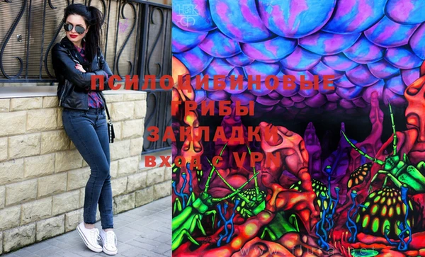 сатива Абинск