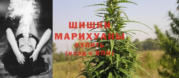 сатива Абинск