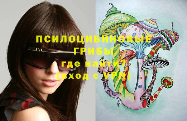 гидра Медвежьегорск