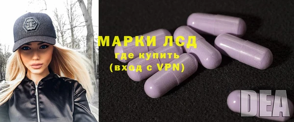 сатива Абинск