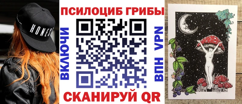 дарнет шоп  Фёдоровский  Псилоцибиновые грибы Psilocybe 